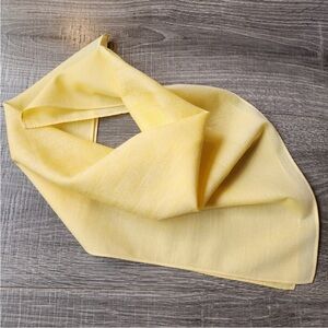 Christian Dior Trotter Bandana